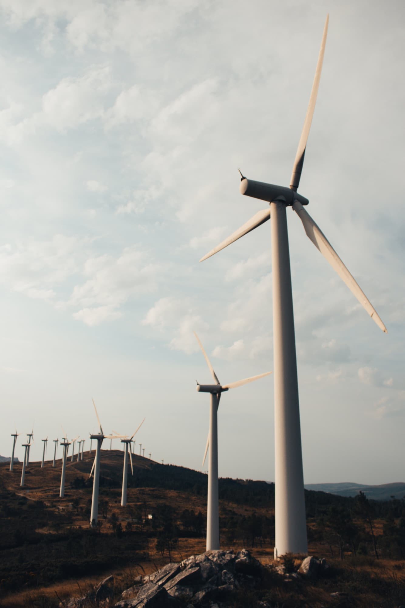 Wind turbines on a hillside, part of New Zealand's renewable energy landscape